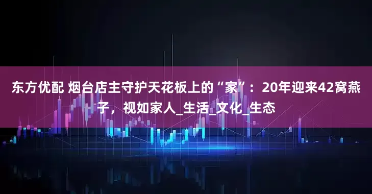 东方优配 烟台店主守护天花板上的“家”：20年迎来42窝燕子，视如家人_生活_文化_生态