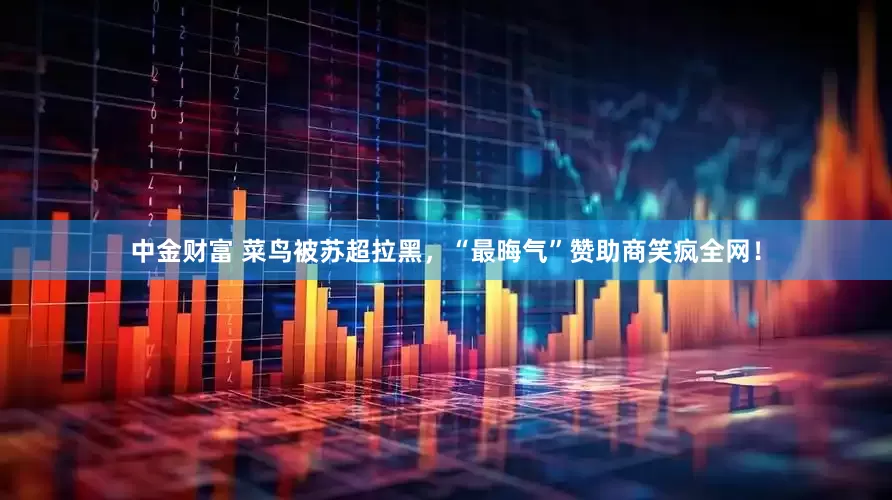 中金财富 菜鸟被苏超拉黑，“最晦气”赞助商笑疯全网！
