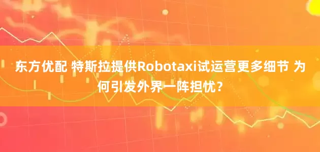 东方优配 特斯拉提供Robotaxi试运营更多细节 为何引发外界一阵担忧？